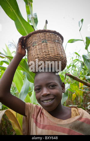 Mili Mlati (9) raccolti nel mais della sua famiglia nel campo Webuye distretto, Kenya occidentale. Foto Stock