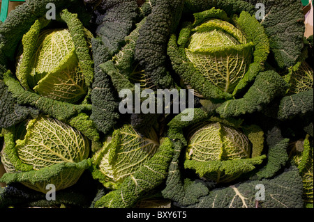 Verde scuro e molto freschi Cavoli Savoia in vendita presso un fruttivendolo presso la Oxford mercato coperto. Foto Stock