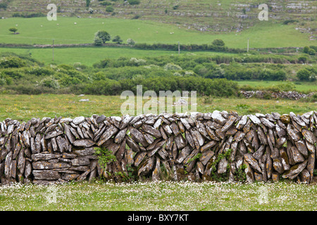 A SECCO tradizionale muro di pietra e prato in The Burren, County Clare, Irlanda occidentale Foto Stock