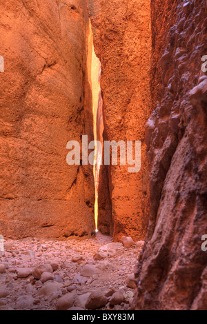 Il mezzogiorno in Echidna Chasm, pasticciare Bungles, Parco Nazionale di Purmululu, Kimberley, Australia occidentale Foto Stock