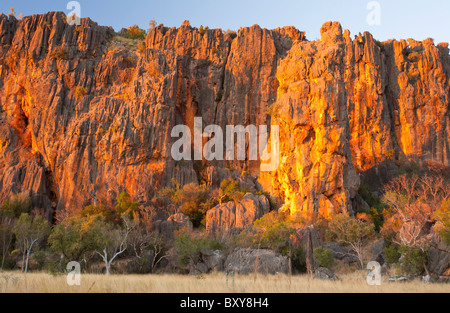 Tramonto sul calcare bastioni di Windjana Gorge, Derby, Kimberley, Australia occidentale Foto Stock