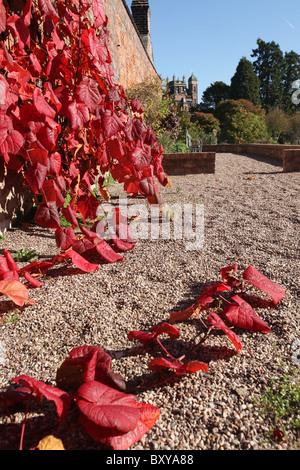 Capesthorne Hall, Inghilterra. Veduta autunnale del Capesthorne Hall giardino con la hall nel lontano sullo sfondo. Foto Stock