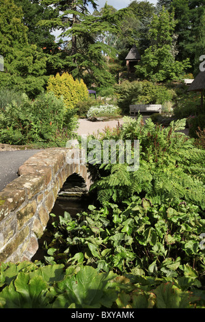 Ness Botanic Gardens, Inghilterra. Vista estiva dei Giardini Botanici di Ness Rock Garden. Foto Stock