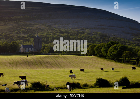 Homestead in ombra del Burren paesaggio carsico e Newtown Castello, Ballyvaughan, County Clare, Irlanda occidentale Foto Stock