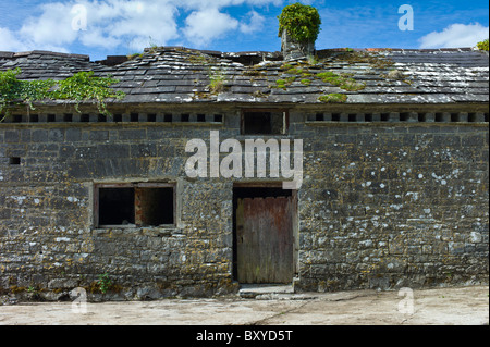 Vecchio Fienile in Kilfenora, County Clare, Irlanda occidentale Foto Stock