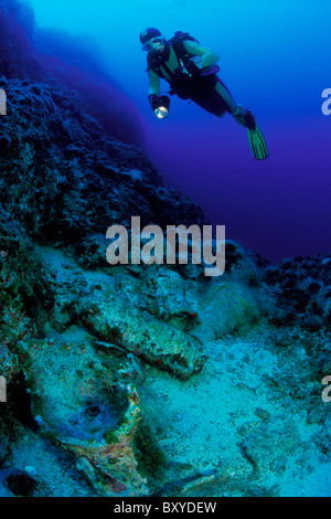 Scuba Diver scoprire antiche anfore, Palagruza, Mare Adriatico, Croazia Foto Stock