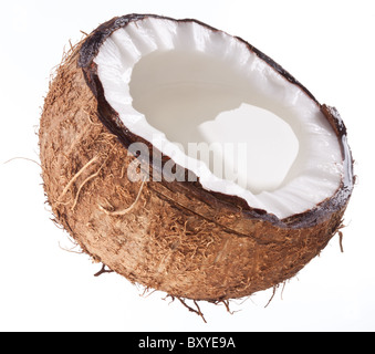 Foto di alta qualità e di noci di cocco su uno sfondo bianco. Foto Stock