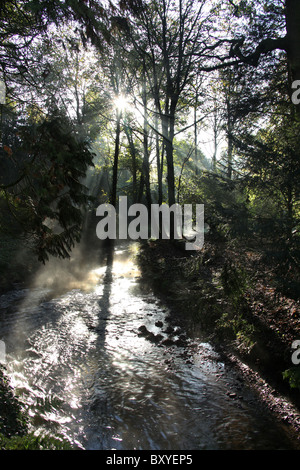 Adlington Hall & Gardens, Inghilterra. La mattina presto vista del fiume Dean in Adlington Hall e giardini Wilderness area. Foto Stock