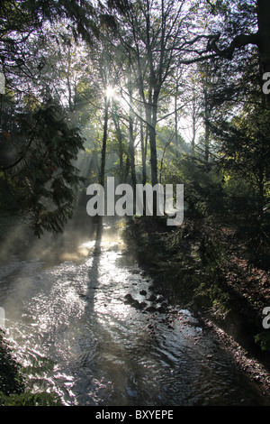 Adlington Hall & Gardens, Inghilterra. La mattina presto vista del fiume Dean in Adlington Hall e giardini Wilderness area. Foto Stock