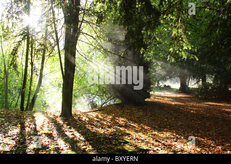 Adlington Hall & Gardens, Inghilterra. Drammatica la mattina presto Veduta autunnale della Adlington Hall e giardini Wilderness area. Foto Stock