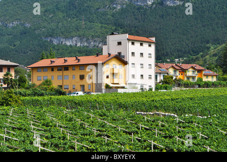 Piccola cittadina con una torre campanaria e gli edifici residenziali con il blu del cielo e il paesaggio di vigneti Foto Stock