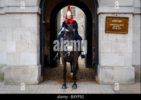 Un membro della famiglia di cavalleria reggimento montato, a Whitehall, London, Regno Unito Foto Stock