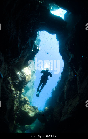 Scuba Diver in volcanic crack, Asbirgi, Akureyri, Islanda Foto Stock