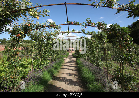 Station wagon di Tatton Park, Inghilterra. Vista estiva di mele di Tatton Park Orto. Foto Stock