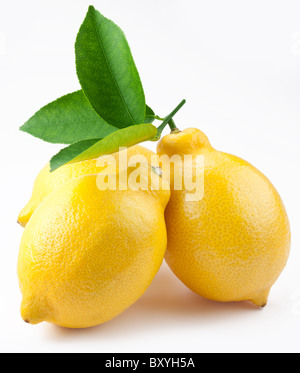 Foto di alta qualità di limoni maturi su sfondo bianco Foto Stock