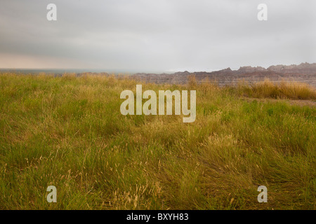 Nuvole temporalesche su erba della prateria Foto Stock