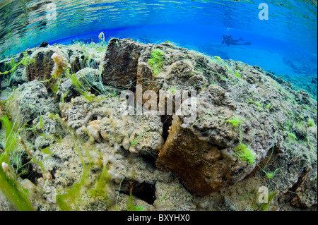 Laguna Silfra, Silfra crack, Thingvellir Lago, Islanda Foto Stock