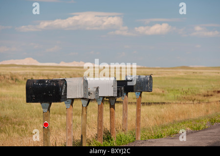 Fila di cassette postali rurali sulla strada in Buffalo Gap National Praterie Foto Stock