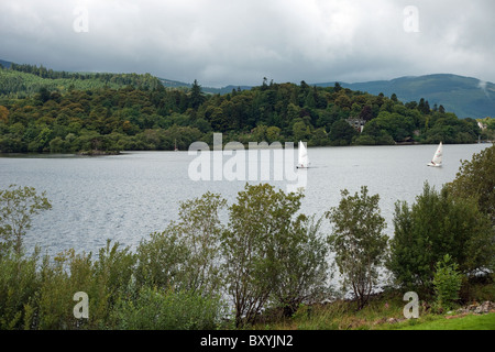 Derive sulla Derwent Water visto da Derwent Island Near Keswick nel distretto del Lago Foto Stock