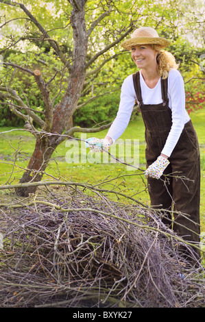 Giovane donna pulizia di rami di alberi in Orchard Foto Stock