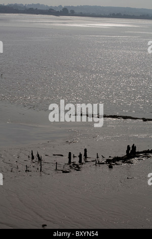 I resti di una Severn Trowl sulle rive del fiume Severn da Lydney Harbour Gloucestershire in Inghilterra Foto Stock