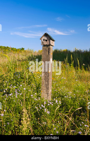 Piccolo uccello in legno casa su un palo di cemento in un campo. Foto Stock