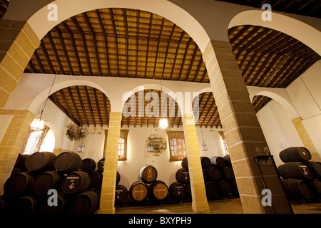 Bodegas Tradicion Jerez de la Frontera Cádiz Andalucía España cantina Andalusia Spagna Foto Stock