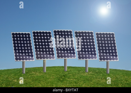 Fila di pannelli solari in erba con cielo azzurro e sole Foto Stock