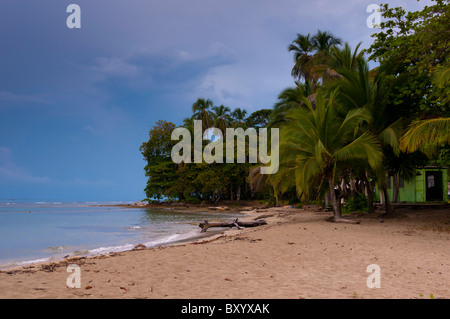 Spiaggia Puerto Viejo Costa Rica Foto Stock