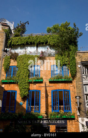 Neal's Yard in Covent Garden Foto Stock