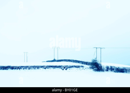 Bianco neve fuori in campo con siepi e linee di alimentazione Foto Stock