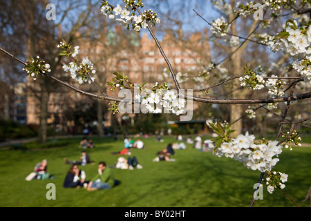 Russell Square Foto Stock