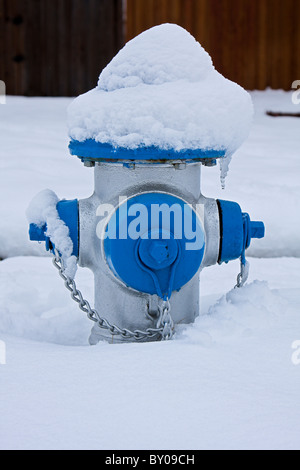 Idrante di fuoco nella neve Foto Stock