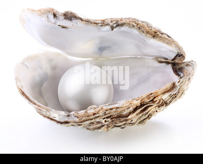 Immagine di un bianco perla in una shell su uno sfondo bianco. Foto Stock