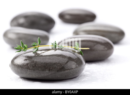 Spa pietre con foglie verdi su sfondo bianco. Foto Stock