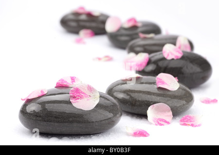 Spa pietre con petali di rosa su sfondo bianco. Foto Stock