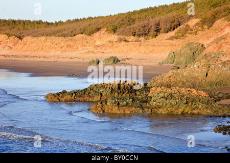 Rocce laviche di basalto Pillow, spiaggia di Malltraeth e foresta di Newborough dall'isola di Llanddwyn. Newborough, Isola di Anglesey, Galles del Nord, Regno Unito, Gran Bretagna Foto Stock