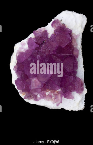 Fluorite - Mina Navidad - Chihuahua - Messico Foto Stock