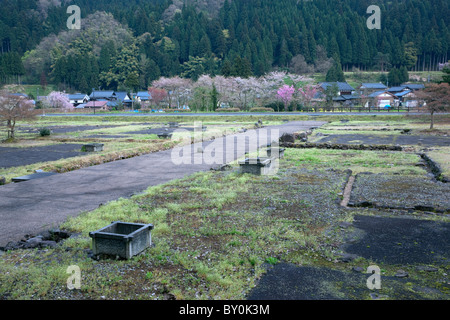 Ichijodani Asakura famiglia storiche rovine, Fukui, Fukui, Giappone Foto Stock