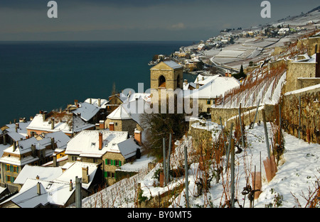 Il comune di Saint-Saphorin tra neve-coperta di vigneti e del Lago di Ginevra, sito Patrimonio Mondiale dell'UNESCO Lavaux,Svizzera Foto Stock