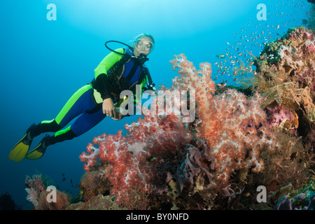 Immersioni a Bali, Alam Batu, Bali, Indonesia Foto Stock