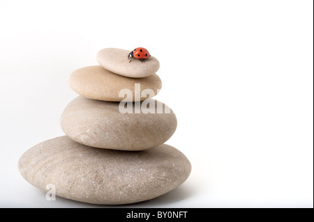 Coccinella sul mucchio di pietre isolato su bianco Foto Stock