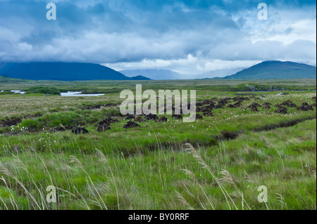 Paesaggio di Connemara e torbiera, il vecchio Bog Road vicino a Roundstone, nella contea di Galway, Irlanda Foto Stock