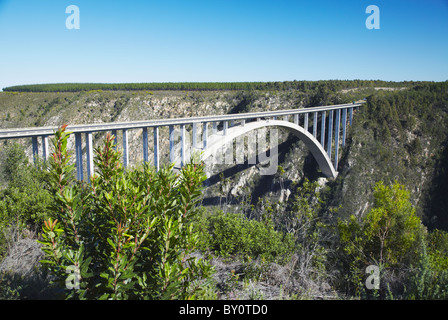 Bloukrans River Bridge (sito di più alta del mondo il bungy jump), tempeste River, Capo orientale, Sud Africa Foto Stock