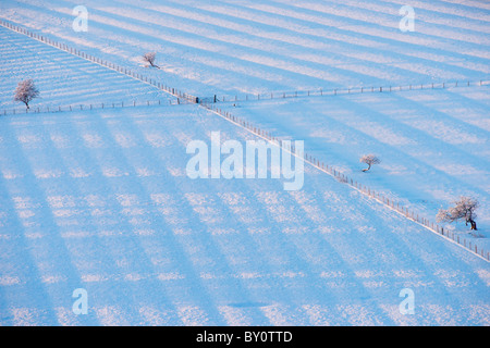 Recintato i campi di neve che mostra il vecchio runrigs. Vicino a Stirling, Scozia, Regno Unito. Foto Stock