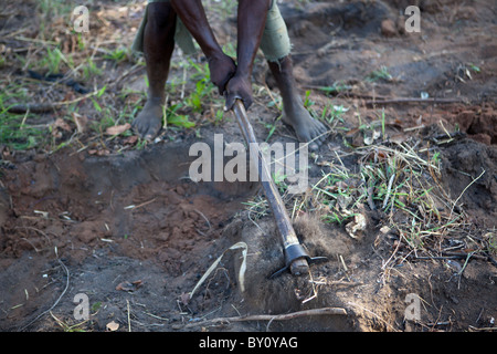 MUECATE riserva forestale, nei pressi di Nampula, Mozambico, Maggio 2010: Licenza carbone Creatori, lavorando dentro la riserva della foresta Foto Stock