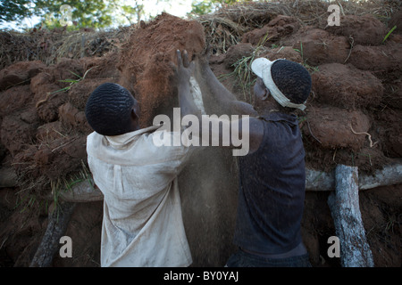 MUECATE riserva forestale, nei pressi di Nampula, Mozambico, Maggio 2010: Licenza carbone Creatori, lavorando dentro la riserva della foresta Foto Stock