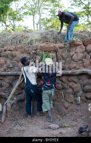 MUECATE riserva forestale, nei pressi di Nampula, Mozambico, Maggio 2010: Licenza carbone Creatori, lavorando dentro la riserva della foresta. Foto Stock