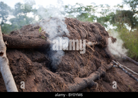 MUECATE riserva forestale, nei pressi di Nampula, Mozambico, Maggio 2010: questo è un carbone forno, costruito con un design tradizionale. Foto Stock