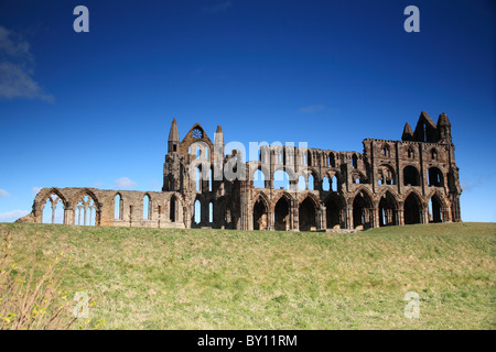 Rovine di Whitby Abbey, North Yorkshire Foto Stock